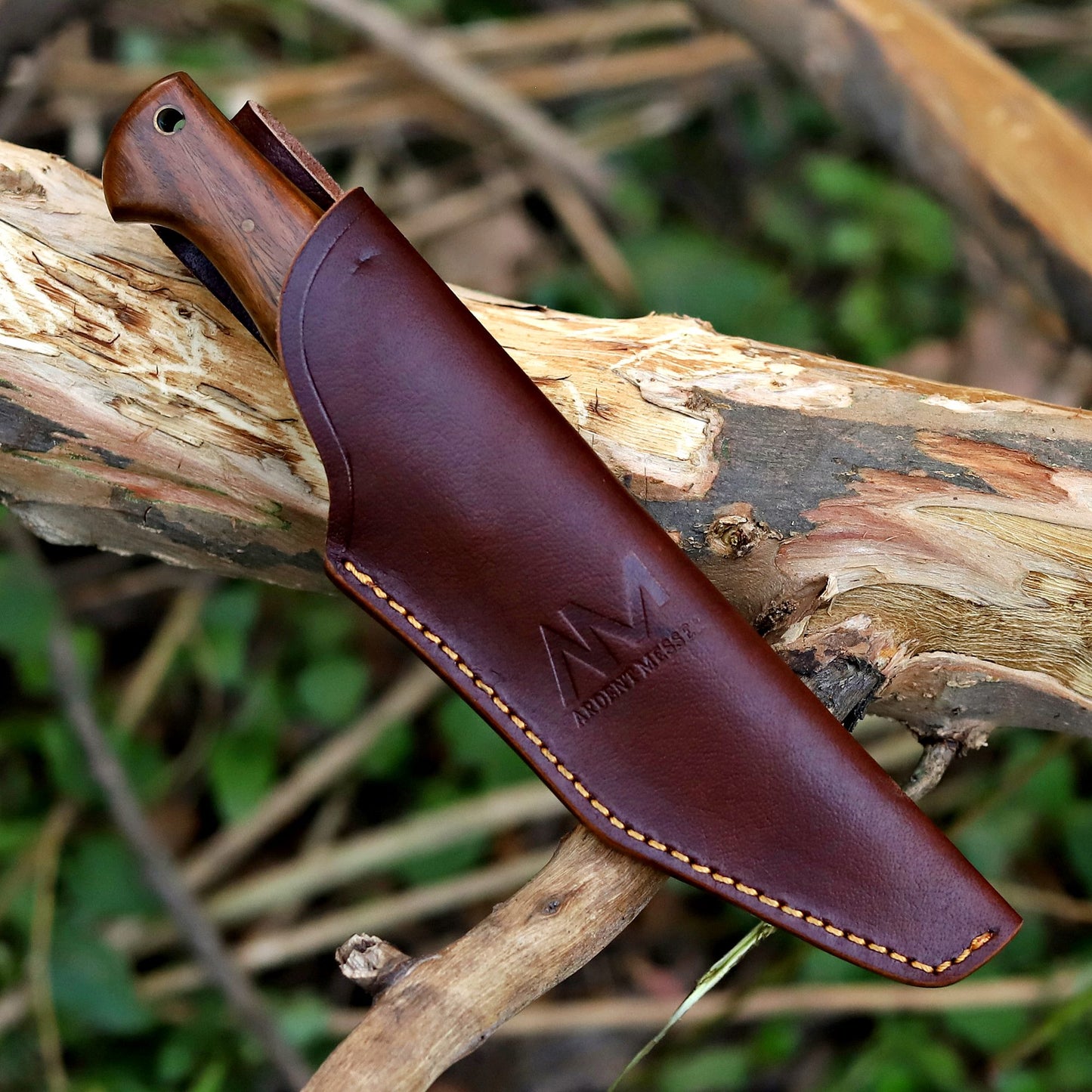 AM Frontier fixed blade knife with handcrafted vertical carry leather sheath – rugged field carry for hunting and bushcraft.