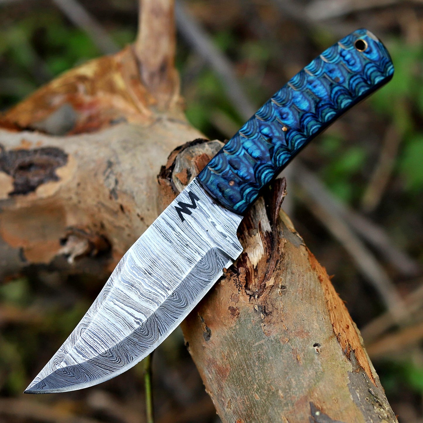 Hand-forged Damascus fixed blade knife with blue wood handle photographed outdoors on natural surface.