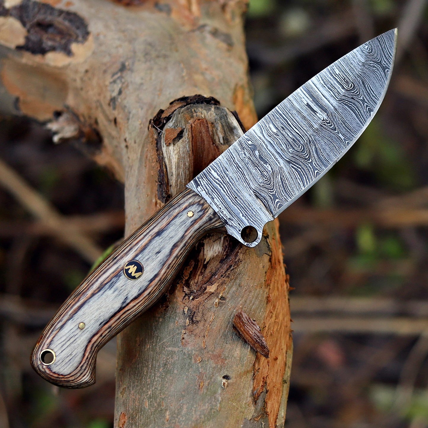 Side profile of handcrafted Damascus hunting knife with polished wood handle.