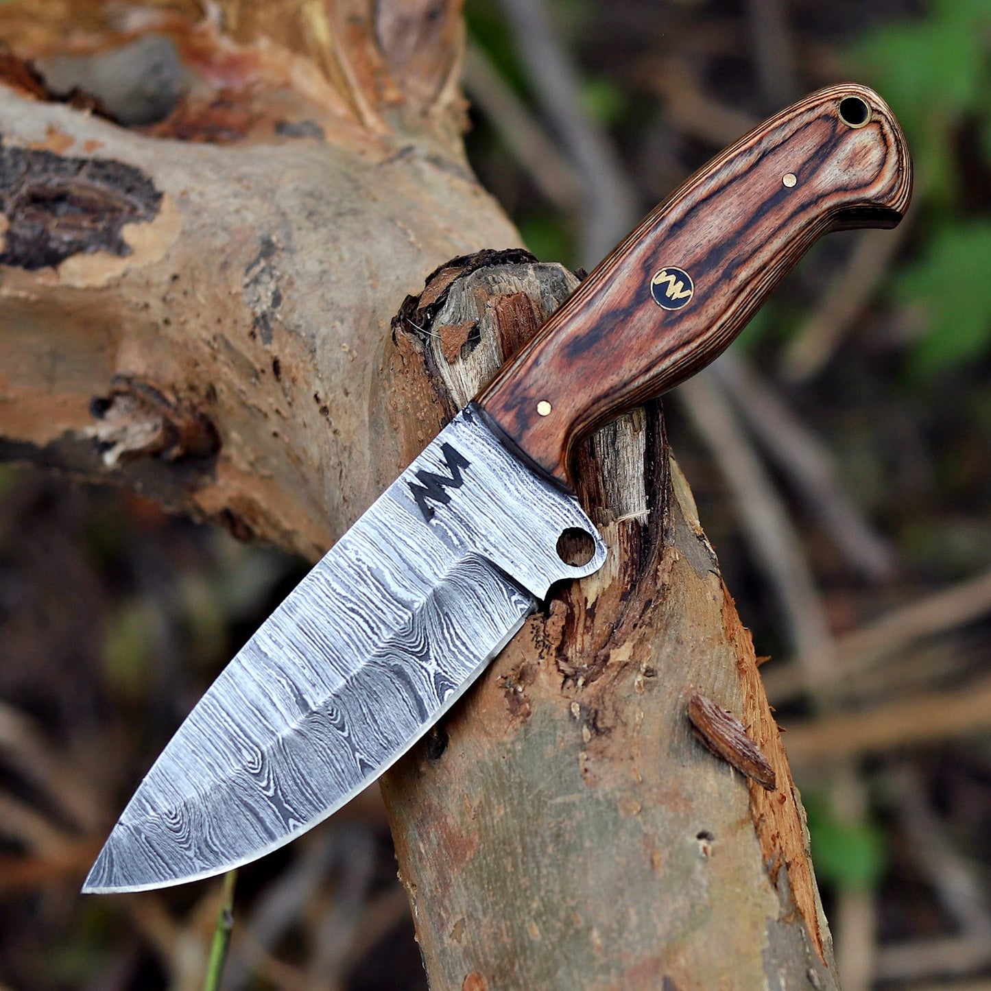 Forged Damascus knife displayed on rocks, showcasing rugged outdoor performance and detail.
